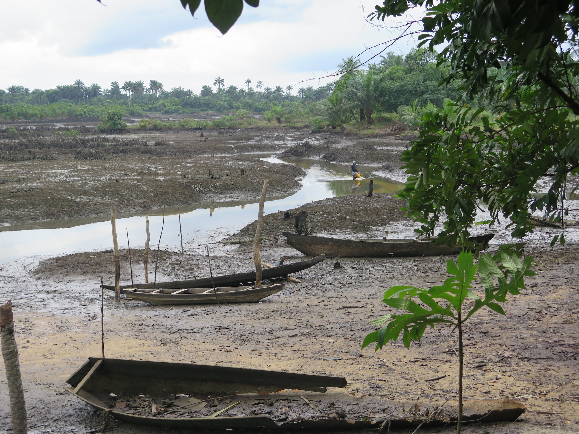 Niger Delta: Shell - Polluted creeks at Kegbara Der