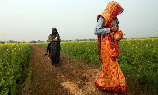 Dalit women walk through mustard fields in Uttar Pradesh