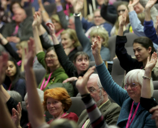 members voting at the AGM