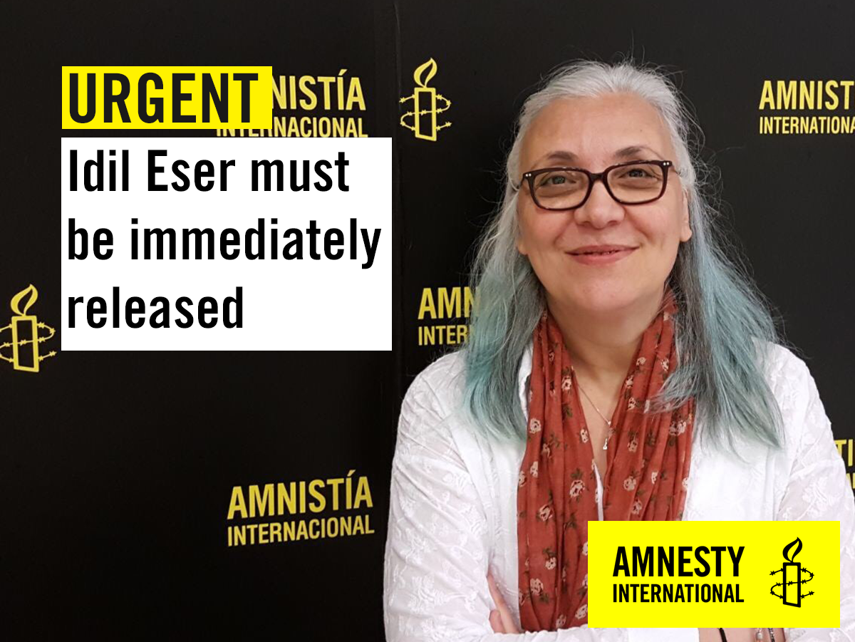 Image result for idil eser amnesty international