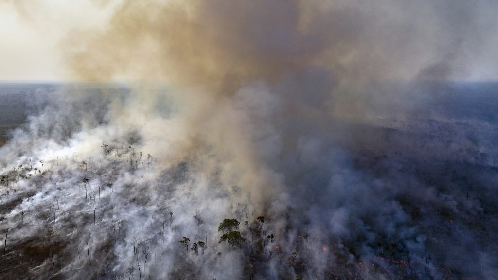 Brazil Authorities must prosecute those responsible for destruction of