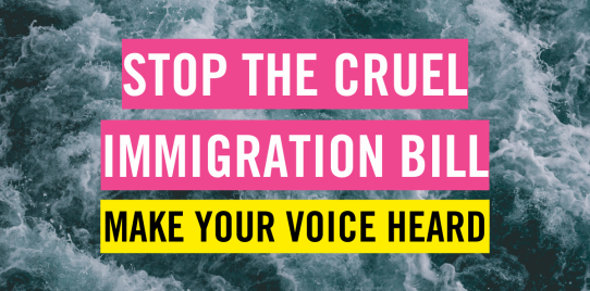 Stop The Cruel Immigration Bill