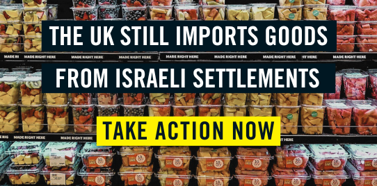 Image shows fruits in a supermarket with 'Email your MP to call for a ban on importing Israeli settlement goods' written across it