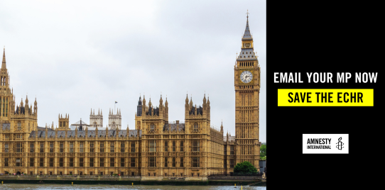 Image shows parliament with the right hand side "Email your MP now, save the ECHR"