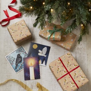 Gifts under a Christmas tree with a number of Amnesty postcards laying down