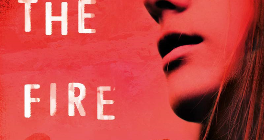 After the Fire book cover After the Fire book cover