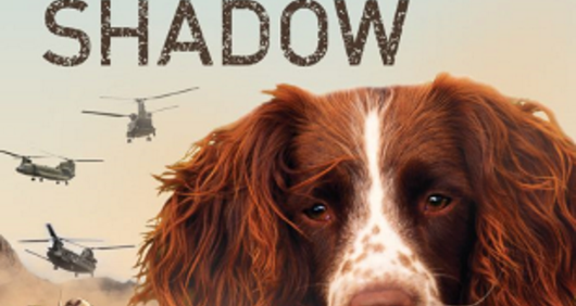 Shadow book cover Shadow book cover