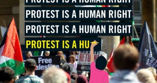 Image of Pro-Palestine protestors overlaid with the words "Protest is a human right"