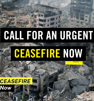 demand an urgent ceasefire now