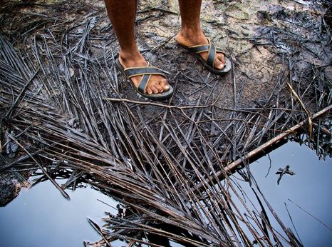 Niger Delta, © Michael Uwemedimo/cmapping.net