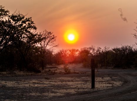 The end of cattle's paradise