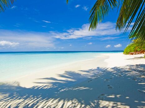 Maldives beach - ©iStockphoto.com/Martin Strmko