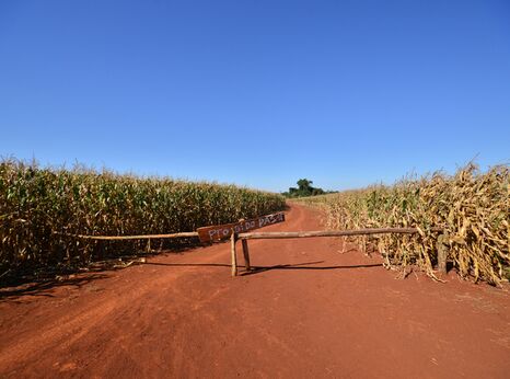 Entrance to the ancestral land of the Ava Guarani Tekoha Sauce community