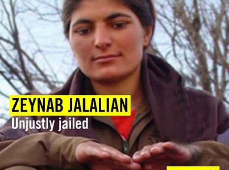 Zeynab Jalalian graphic