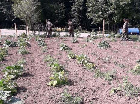 Baha'i owned farmland confiscated by the Iranian authorities (c) Private