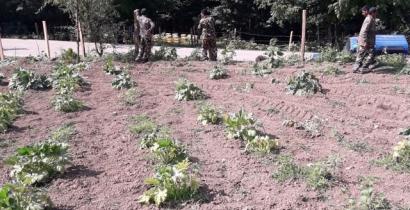 Baha'i owned farmland confiscated by the Iranian authorities (c) Private