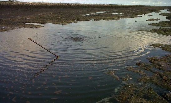 Oil spill at Bodo July 2012