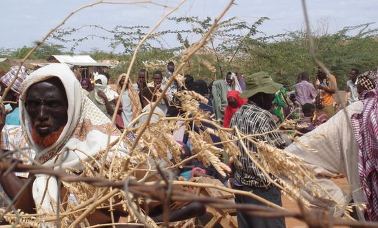 Refugees on the outskirts of the Dadaab refugee camp, Kenya. 