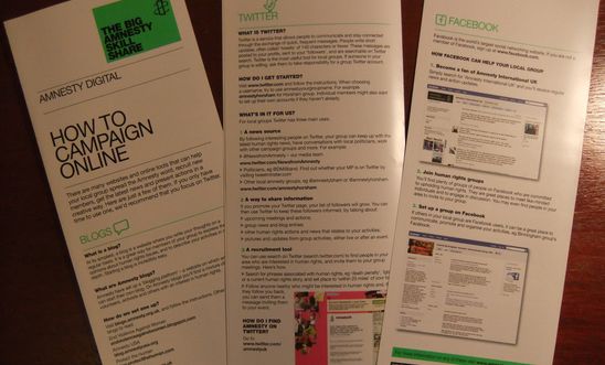 AI leaflet on how to campaign on-line AI leaflet on how to campaign on-line