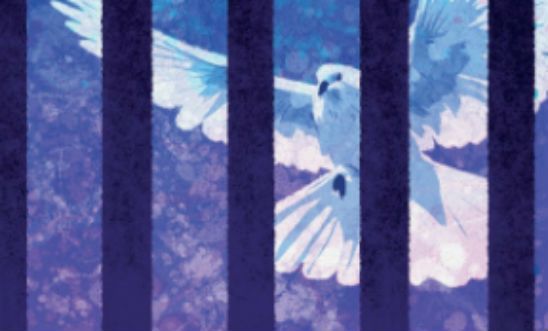 A dove behind bars