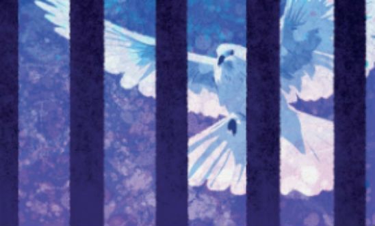 A dove behind bars A dove behind bars