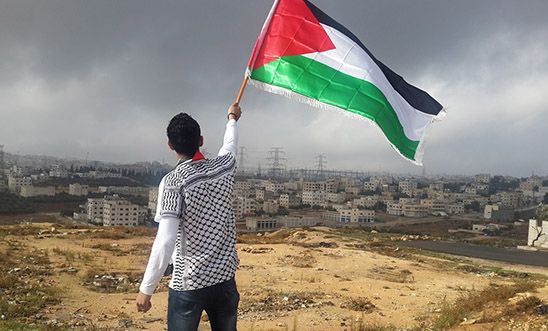 Palestinian flying flag