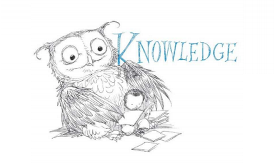 Knowledge Knowledge