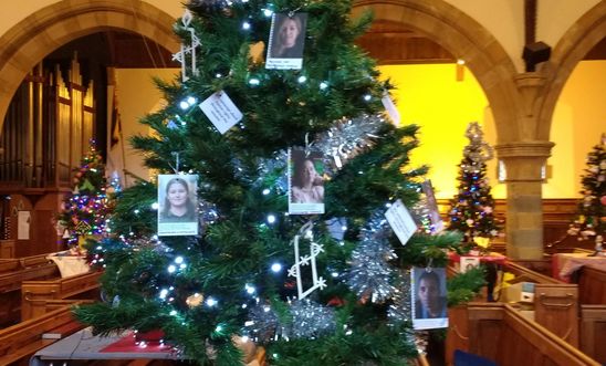 Amnesty xmas tree