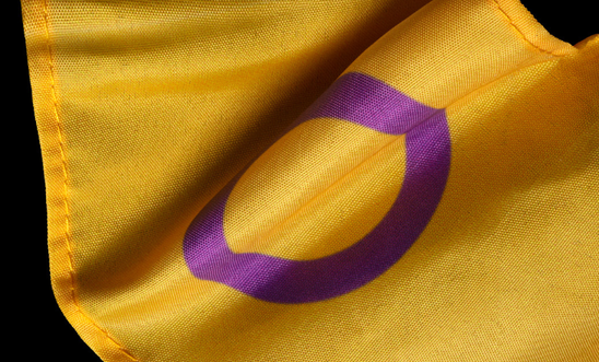 Intersex flag Intersex flag