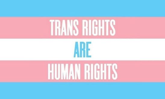 Trans Rights are Human Rights written on the trans rights flag Trans Rights are Human Rights written on the trans rights flag