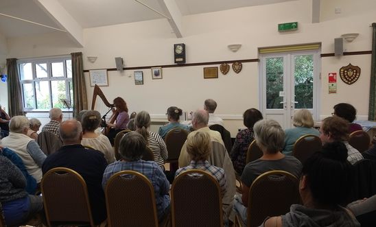 People listening to harp music