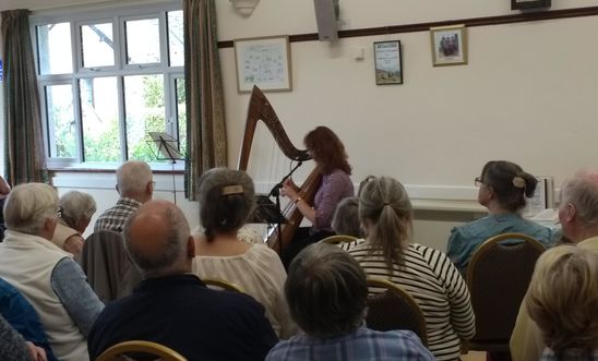 Harp player and audience Harp player and audience
