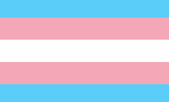 Trans equality flag