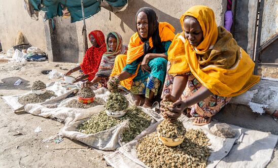 Older women at a market - Borno State, northeast Nigeria