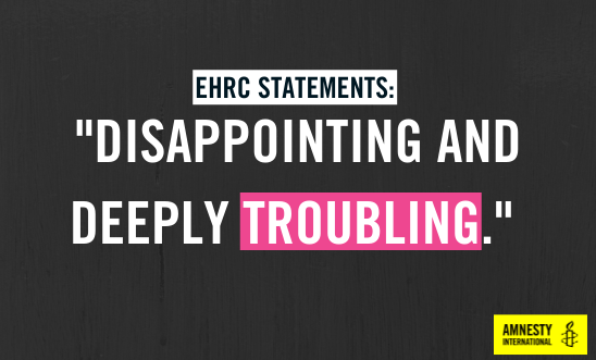 Asset of black background that reads "EHRC Statements: Disappointing and deeply troubling."