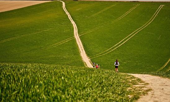 Image shows a person running down a green field on a trail.