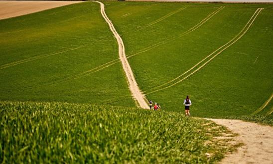 Image shows a person running down a green field on a trail. Image shows a person running down a green field on a trail.