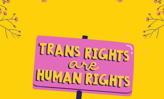 Pink sign against a yellow background which reads 'trans rights are human rights.'