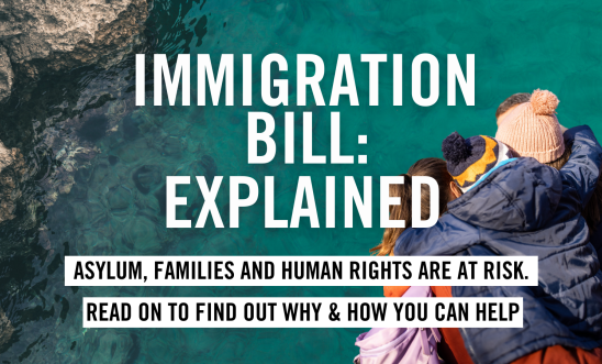 The  Immigration Bill Explained - asylum, families and human rights at risk. Read on to find out why and how you can help