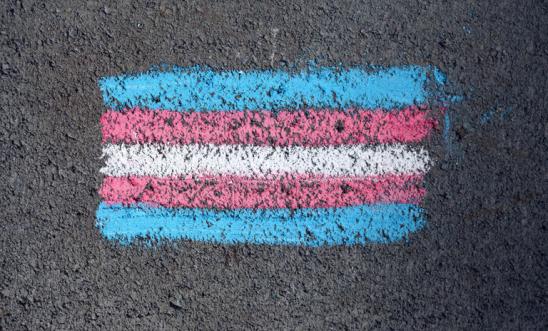 A chalk drawing of a trans flag on a pavement (lines of blue, pink and white on top of each other)