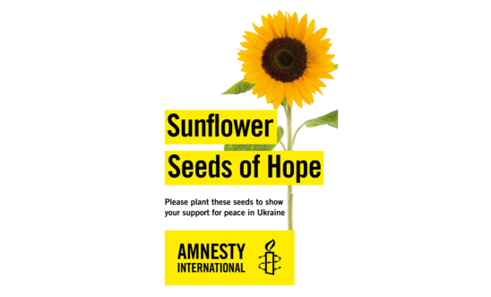 Sunflower seeds packet Sunflower seeds packet