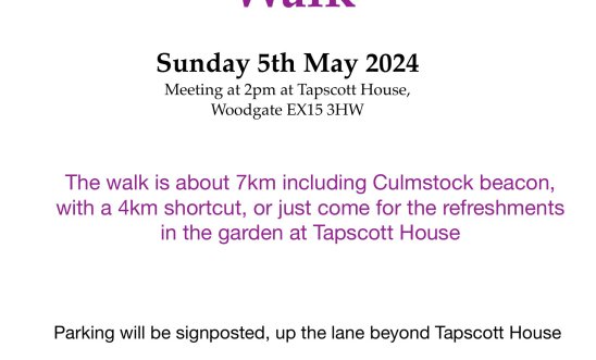 Walk poster