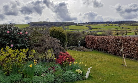 View of a garden View of a garden