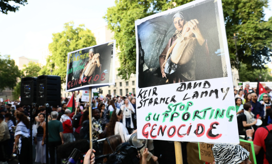 Placards at a pro-Palestine protest in London Placards at a pro-Palestine protest in London