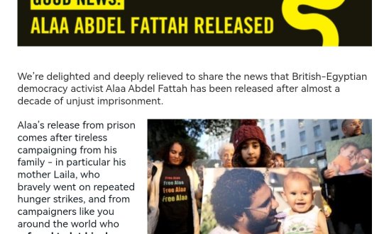 Alaa is free poster Alaa is free poster