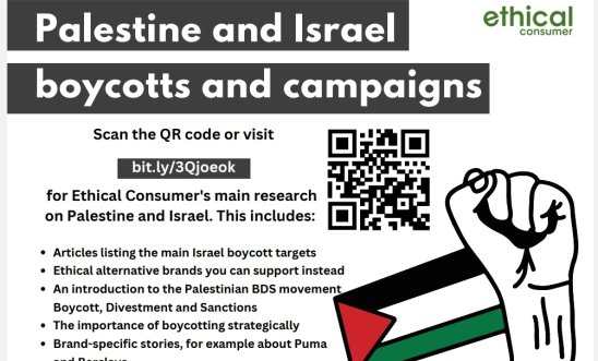 Palestinian flag, raised fist, QR code