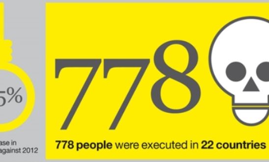 Executions in 2013