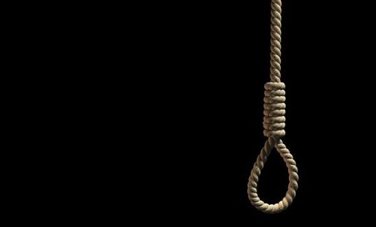 Noose Noose