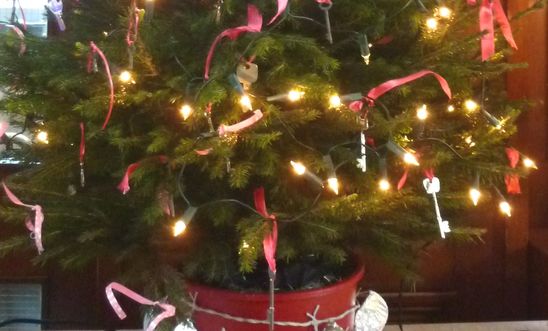 Chipping Norton Amnesty Group's decorated Christmas tree