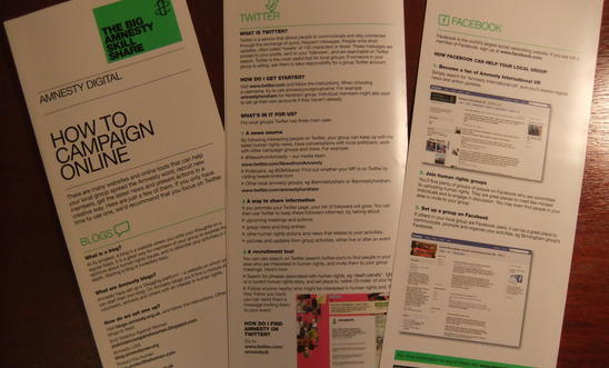 AI leaflet on how to campaign on-line AI leaflet on how to campaign on-line
